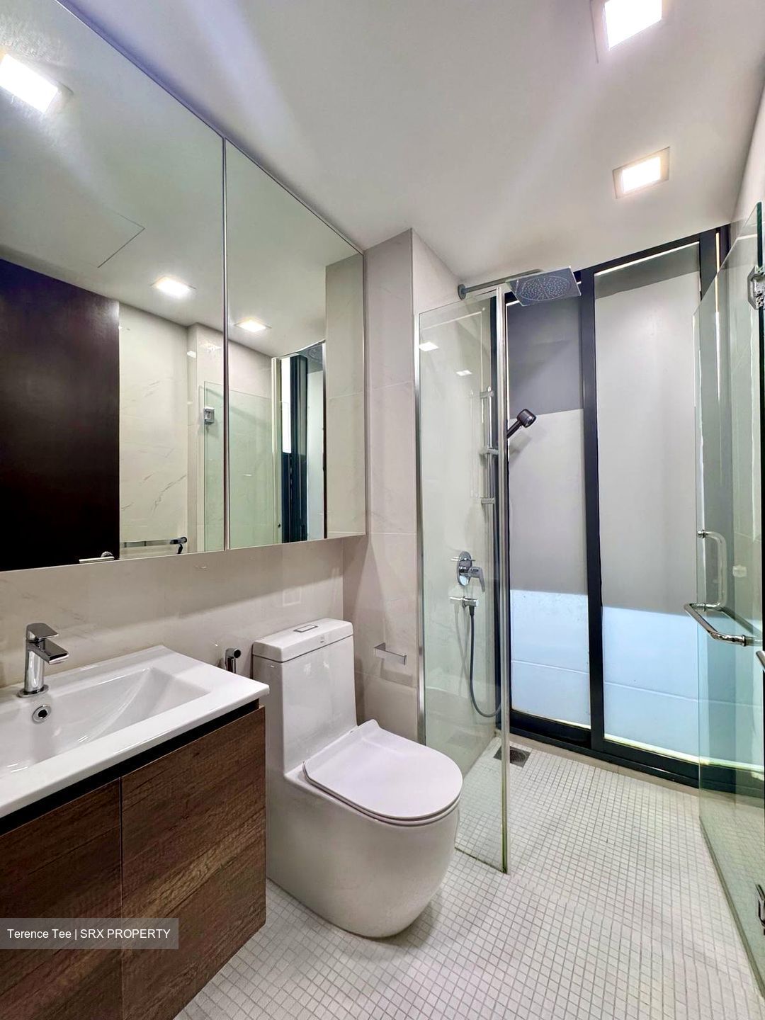 The Ambra (D15), Apartment #550408101